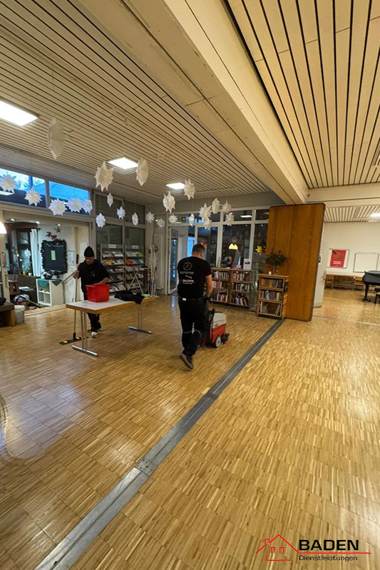 Baden Dienstleistungen e.K. - Praeventive-Gebuedepflege